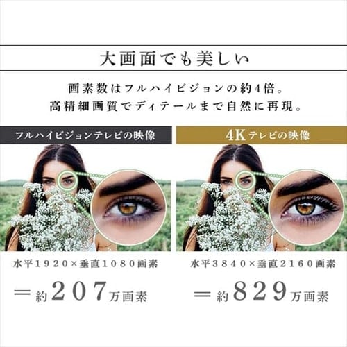 IRIS OHYAMA Fiona 55v 4K液晶テレビ 2021年製 irisplaza_h513849