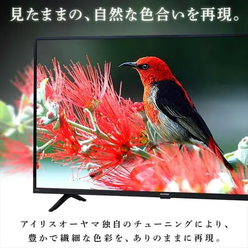 テレビ 40V型 Fiona 40FB10PB_4