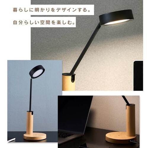 LEDfXNCg CX[d USB|[gt fUC^Cv LDL-QF02DL-T Ebh_2