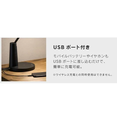 LEDfXNCg CX[d USB|[gt fUC^Cv LDL-QF02DL-B ubN_10