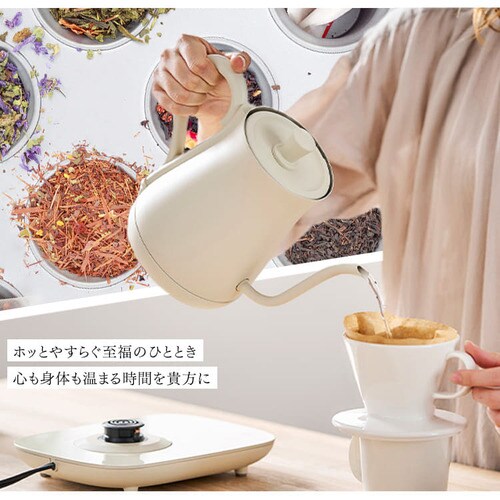 電気ケトル 0.6L ドリップ 温度調節付 IKE-C601T-HA アッシュ