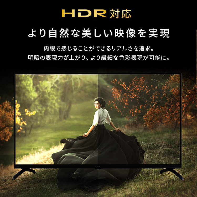 LUCA 液晶テレビ GoogleTV搭載 40V型 LT-40FGX-F1 H104398F