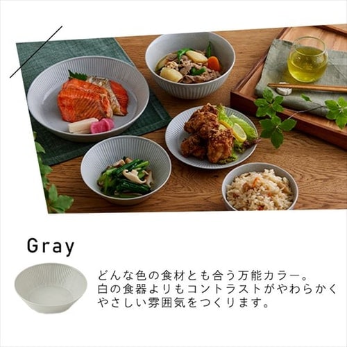 楽天市場】食器 5点セット MNW-5S アイリスオーヤマ 美濃焼 磁器