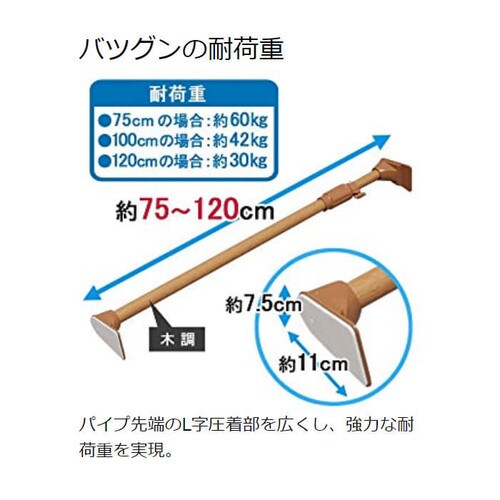 ؒ͐Lk_ H-MUPJ-120 _[NuE_5