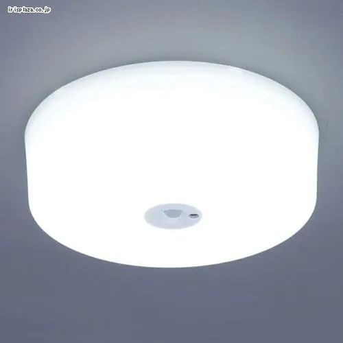 y󂠂z^V[OCg lZT[t SCL9LMS-HL dF _17