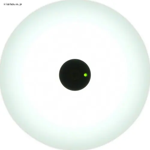 y󂠂z^V[OCg lZT[t SCL9LMS-HL dF _20