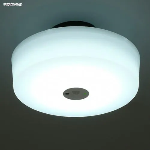 y󂠂z^V[OCg lZT[t SCL9LMS-HL dF _23