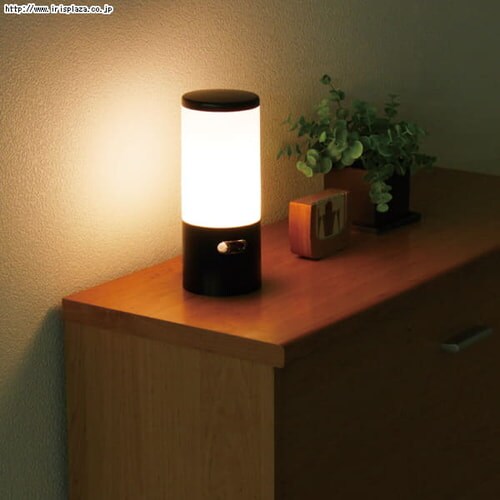LEDセンサーライトASL-10L