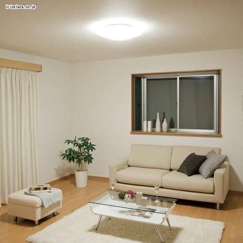 LED�V�[�����O���C�g CL12D-CF1�y�`12��z����_3