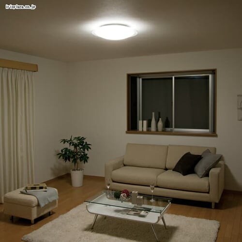 LED�V�[�����O���C�g CL12D-CF1�y�`12��z����_6