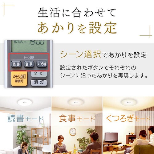 y󂠂zLEDV[OCg FEVV[Y f14 CL14DL/S-FEIIIyOszyszysz_8