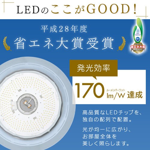 y󂠂zLEDV[OCg FEVV[Y f14 CL14DL/S-FEIIIyOszyszysz_10