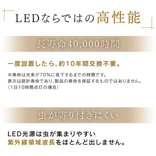 y󂠂zLEDV[OCg ^T[LbgV[Y Vv^Cv 12 _10