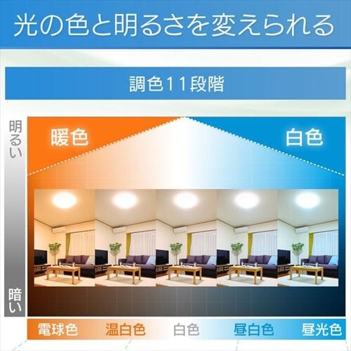 y󂠂zLEDV[OCg ^T[LbgV[Y 5.1V[Y CL8DL-5.1_13