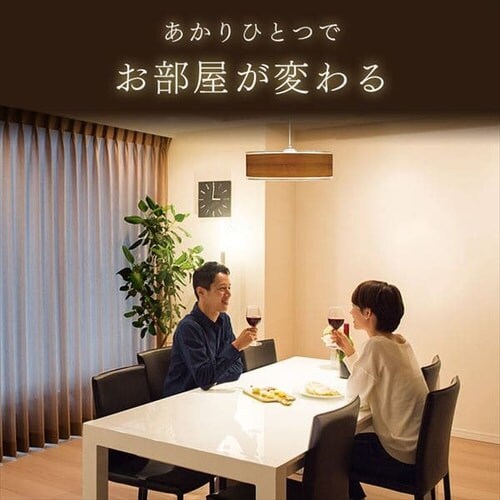 y󂠂zfUCy_gCg ^T[LbgV[Y ^ 12  PLM12D-ADWO zCgI[N_4