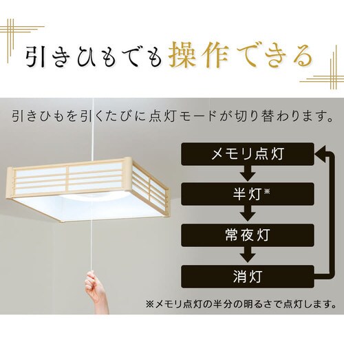 ay_gCg ^T[LbgV[Y 12 F PLM12DL S2_13
