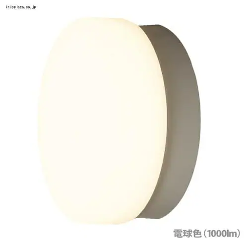 LED|[` p ی` F 1020lm CL10N-CIPLS-BS_4
