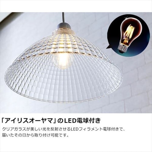 KX LEDy_gCgLapin PL8L-E26CG1ylTCYzS5F_7