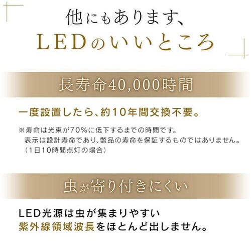 y󂠂zy_gCg m 6 /F [^ ^T[LbgV[Y PLM6DL-YFy\z_10