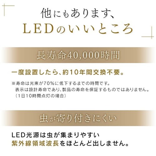 y󂠂zy_gCg a 12 /F ^T[LbgV[Y PLM12DL-J y\z_19