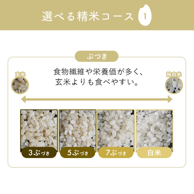 予約販売受付中】 精米機 RCI-C5-C アイボリー 209229