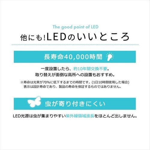 LEDV[OCg 6.1  v[ 8  CL8D-6.1V _20