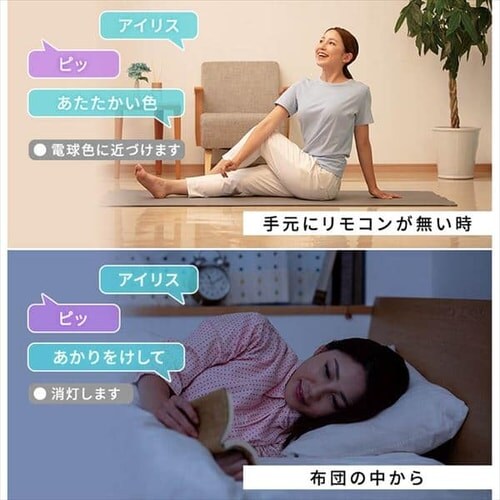 アイリスオーヤマ LED シーリングライト ２個セット 6畳