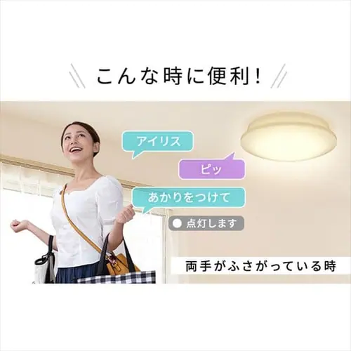 LED�V�[�����O���C�g 5.11 �������� �v���[�� 8�� ���F CL8DL-5.11V_3