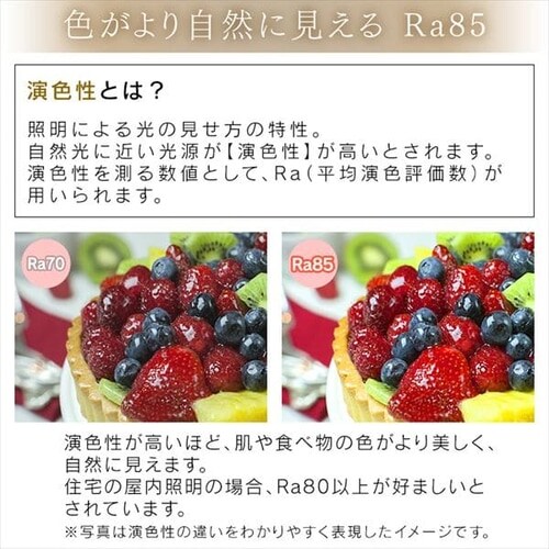 y󂠂zLEDV[OCg 5.11V[Y NAt[ 8 F^Cv CL8DL-5.11CF_18