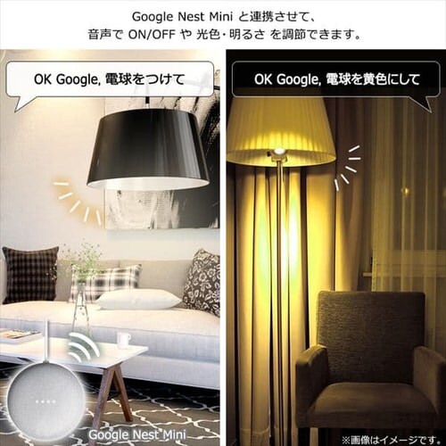 yZbgizLEDd E26 RGBWF AIXs[J[ + Google Nest Mini_7
