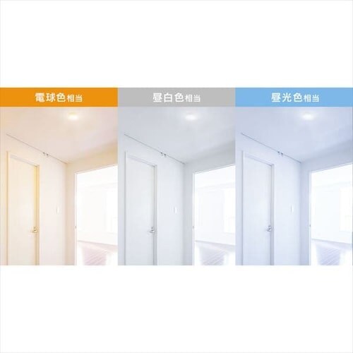 V[OCg LED ^ 600lm dF  L Lb` ʏ N[[bg Ɩ SCL6L-MCHL _3