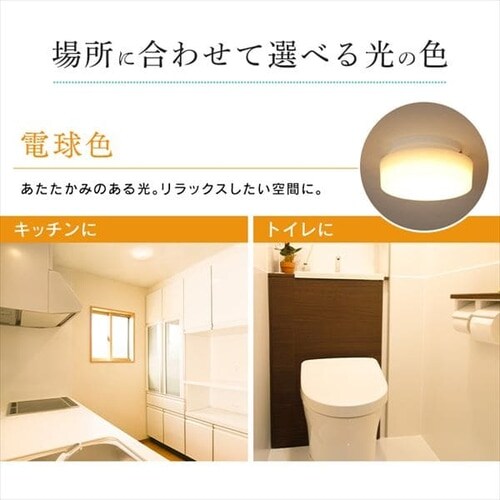 V[OCg LED ^ 600lm dF  L Lb` ʏ N[[bg Ɩ SCL6L-MCHL _8