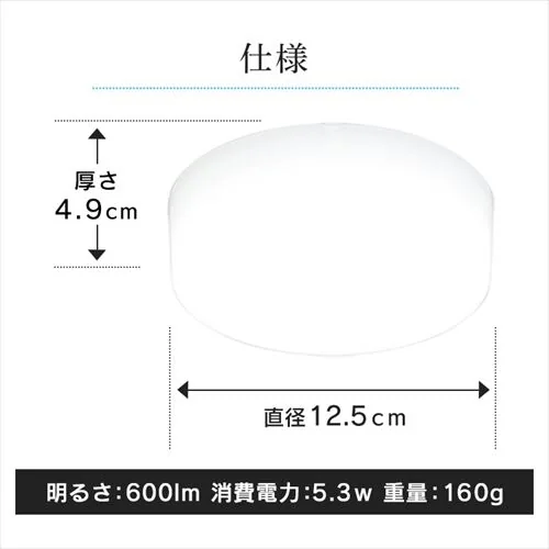 V[OCg LED ^ 600lm dF  L Lb` ʏ N[[bg Ɩ SCL6L-MCHL _13