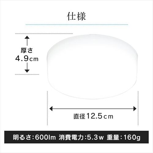 V[OCg LED ^ 600lm dF  L Lb` ʏ N[[bg Ɩ SCL6L-MCHL _12