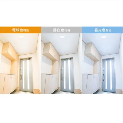 V[OCg LED ^ 1200lm dF  L Lb` ʏ N[[bg Ɩ SCL12L-MCHL _10