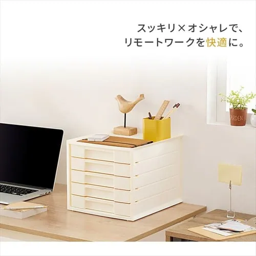 ރP[X  ^[P[X A4 5i LCJ5M AC{[_10