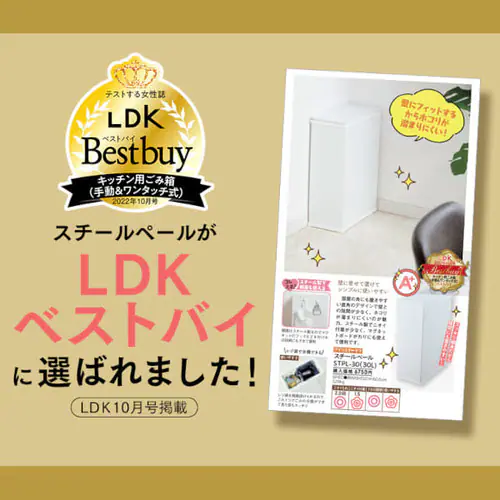 y󂠂zS~ X`[y[ STPL-45 ubN_2