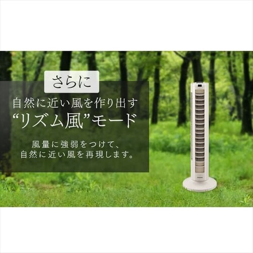 y󂠂z^[t@ DC EU ㉺[o[ TWF-CD81T-H CgO[_10