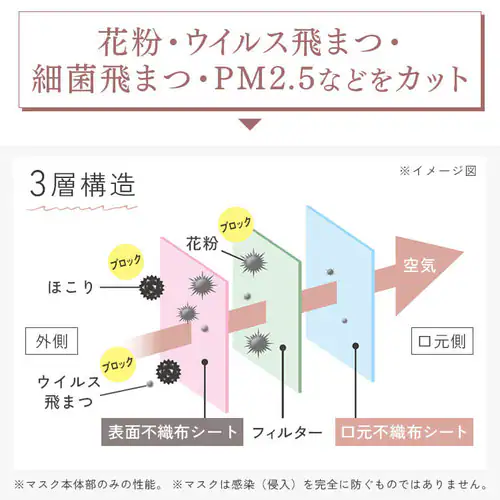 _30Zbĝ݁tFCXpbNtI^y30z DAILY FIT MASK J[}XN ӂTCY sNx[W _18