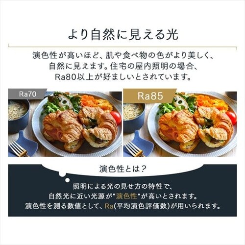 LED V[OCg 8  F HEHsv Rt 5Nۏ CEA-A08DLPW_8