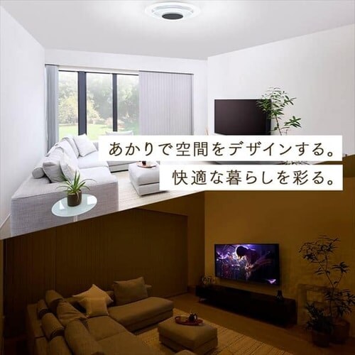 LEDV[OCg plCg 8 t _4