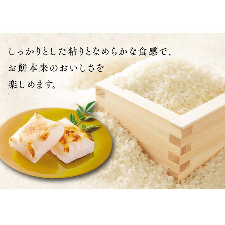 低温製法米の生きりもち 3.6kg(1.8kg×2袋)【プラザマーケット