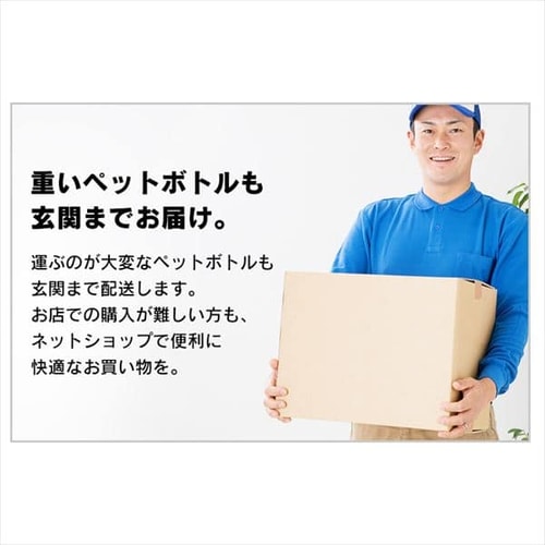 富士山の天然水500ml×48本 ラベルレス H311518 │アイリスプラザ│アイリスオーヤマ公式通販サイト