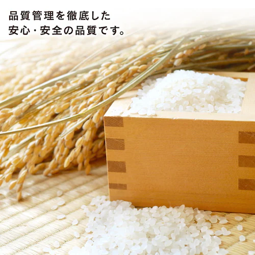 アルファ化米 白米 100g_8