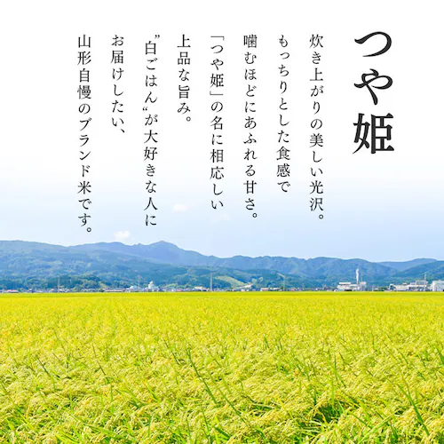 【8個セット】山形県産つや姫パックご飯150g×3P _3