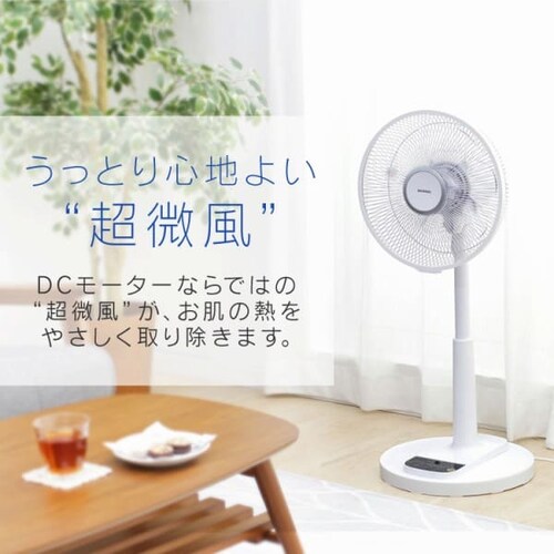 @ É DC[^[ EU Rt LFD-306L zCg_5