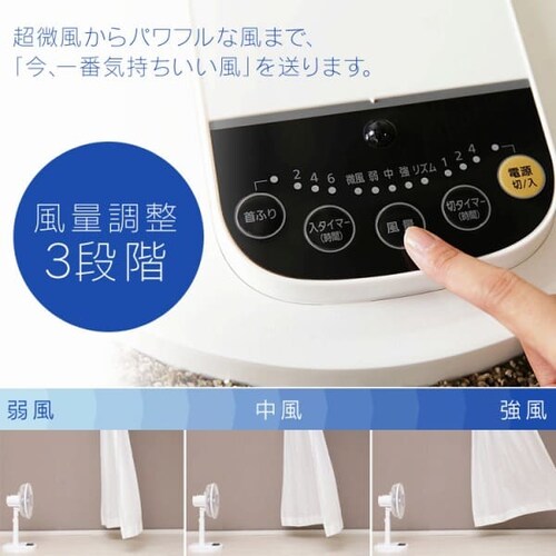 @ É DC[^[ EU Rt LFD-306L zCg_7