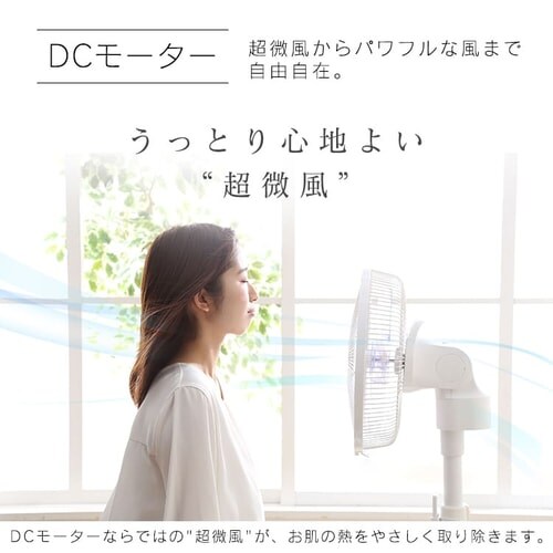 rO@ DC[^[ 90x^Cv EU Rt LFD-306R zCg_9