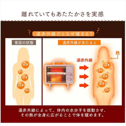 dCXg[u ԊO RpNg ubNR[g 2iK IEHDB-800-P sN_6