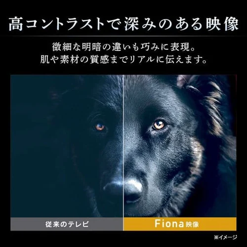 Ii݌ɌtnCrWter 40C` ubN 40FB10P_4